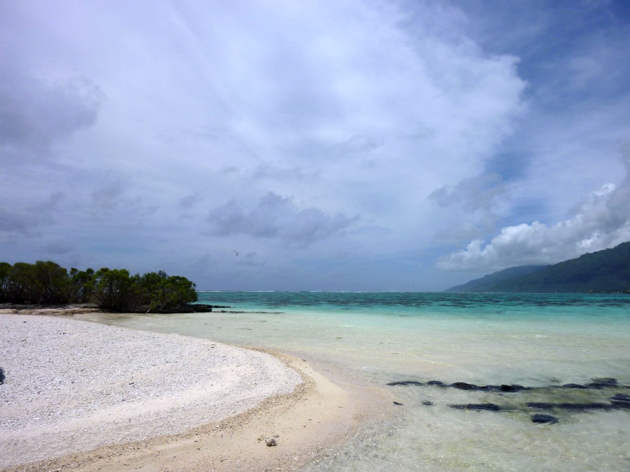 Fonds d'cran Nature Mers - Ocans - Plages L'immensit du pacifique