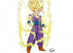 Fonds d'cran Art - Numrique San Gohan ado super Saiyens 2