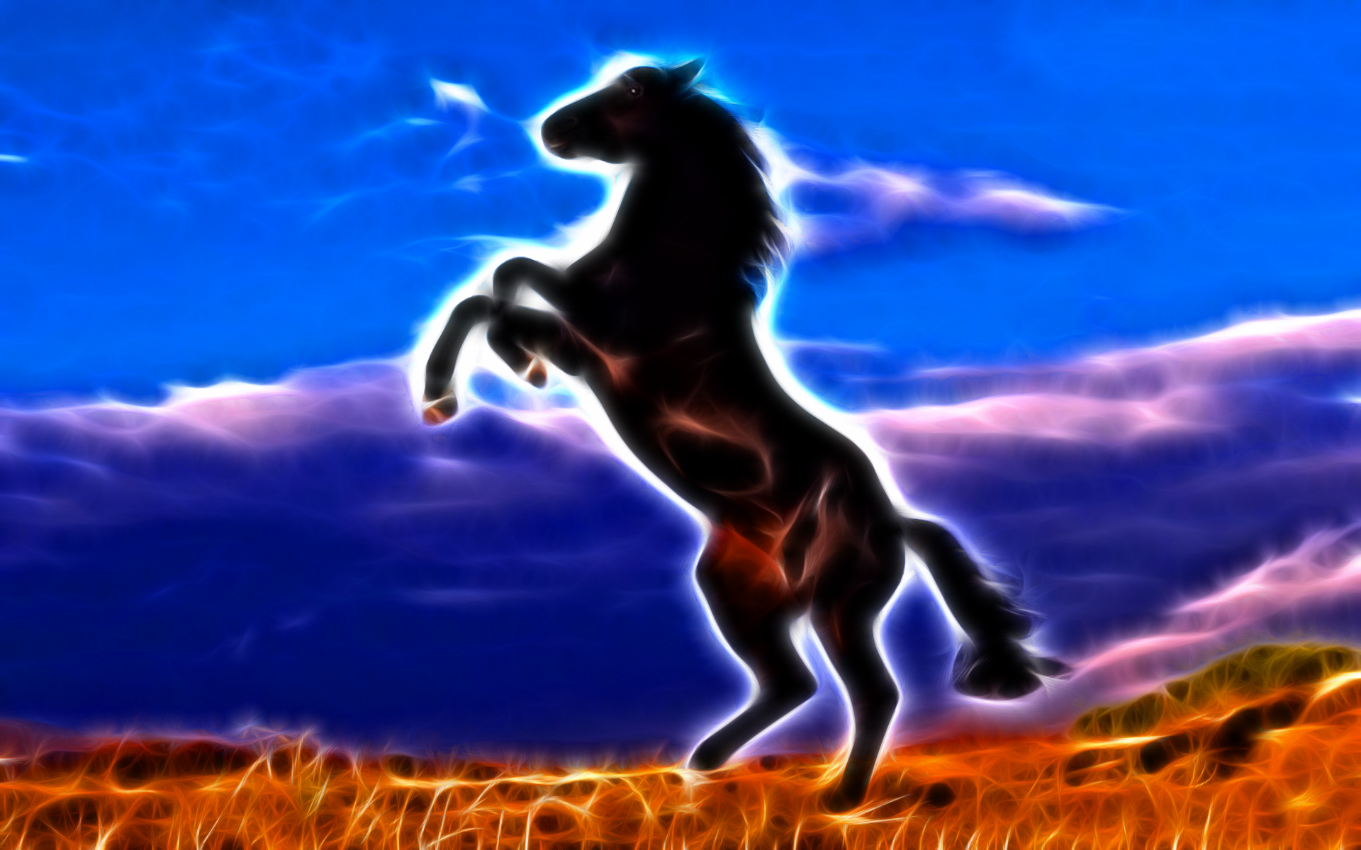 Wallpapers Animals Horses Cheval noir cabr