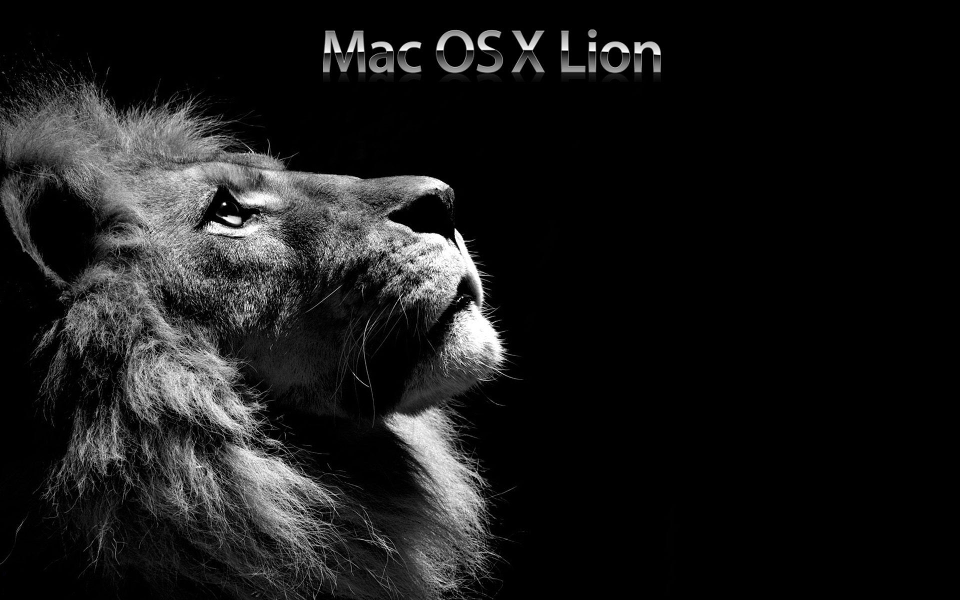 Fonds d'cran Informatique Apple Mac OS X Lion