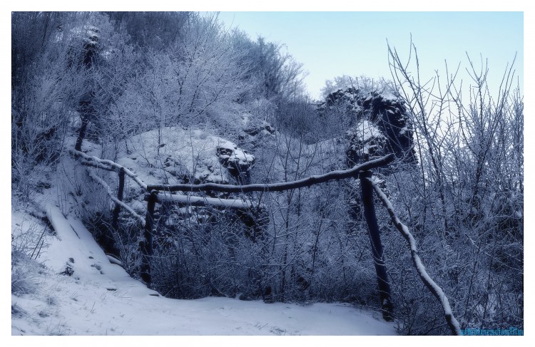 Fonds d'cran Nature Arbres - Forts D'hiver, le froid et calme.7.