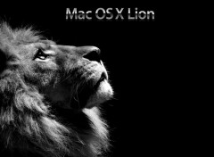 Fonds d'cran Informatique Mac OS X Lion