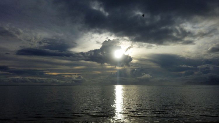 Fonds d'cran Nature Mers - Ocans - Plages reflets