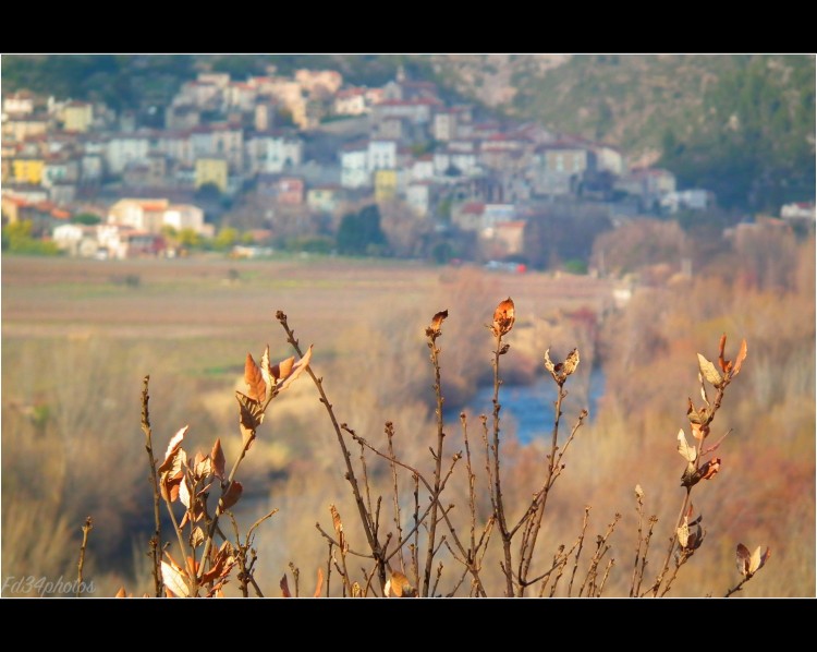 Fonds d'cran Voyages : Europe France > Languedoc-Roussillon Village de Roquebrun