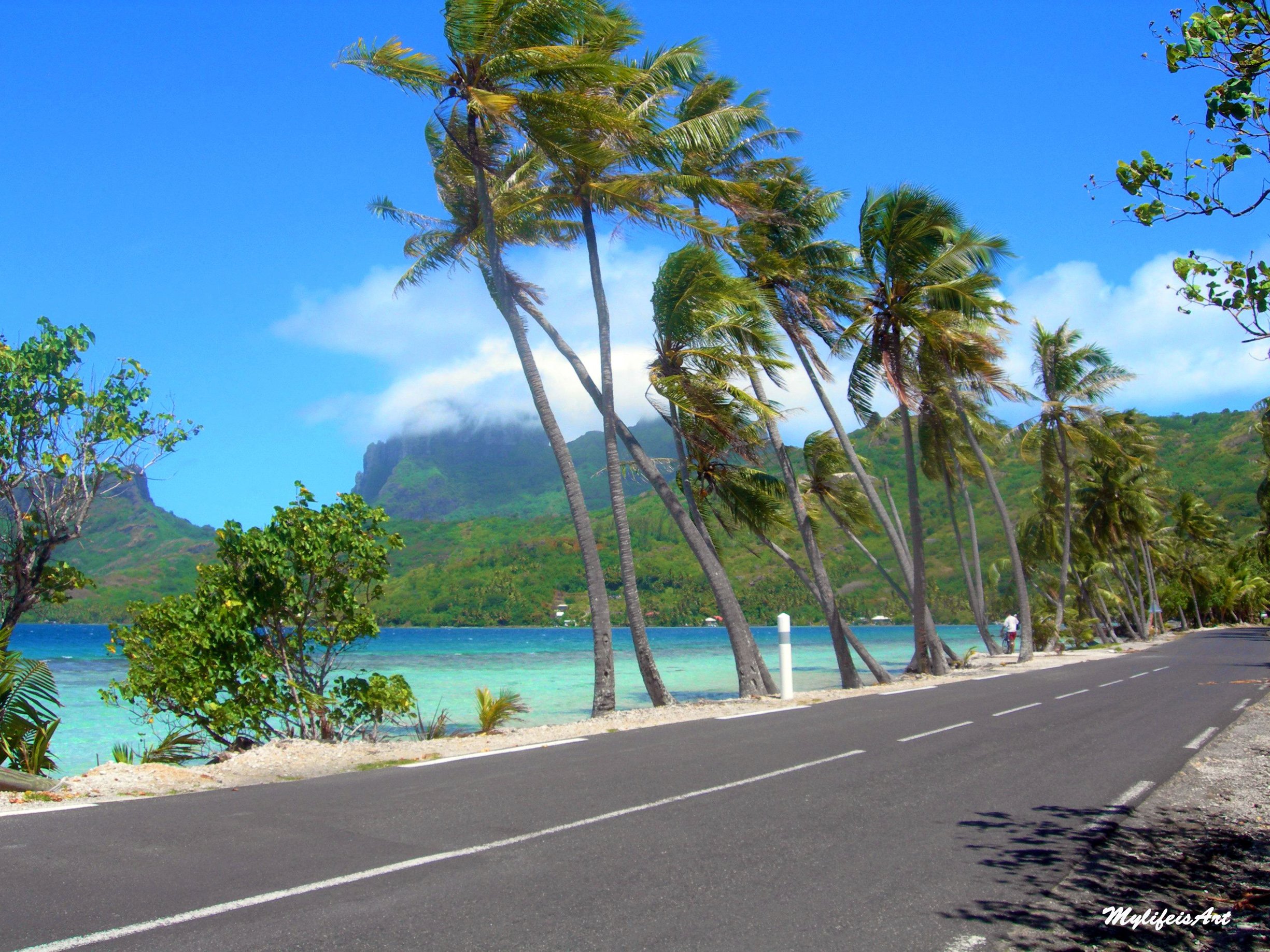 Fonds d'cran Voyages : Ocanie Tahiti Vent  Bora Bora