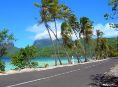 Fonds d'cran Voyages : Ocanie Vent  Bora Bora