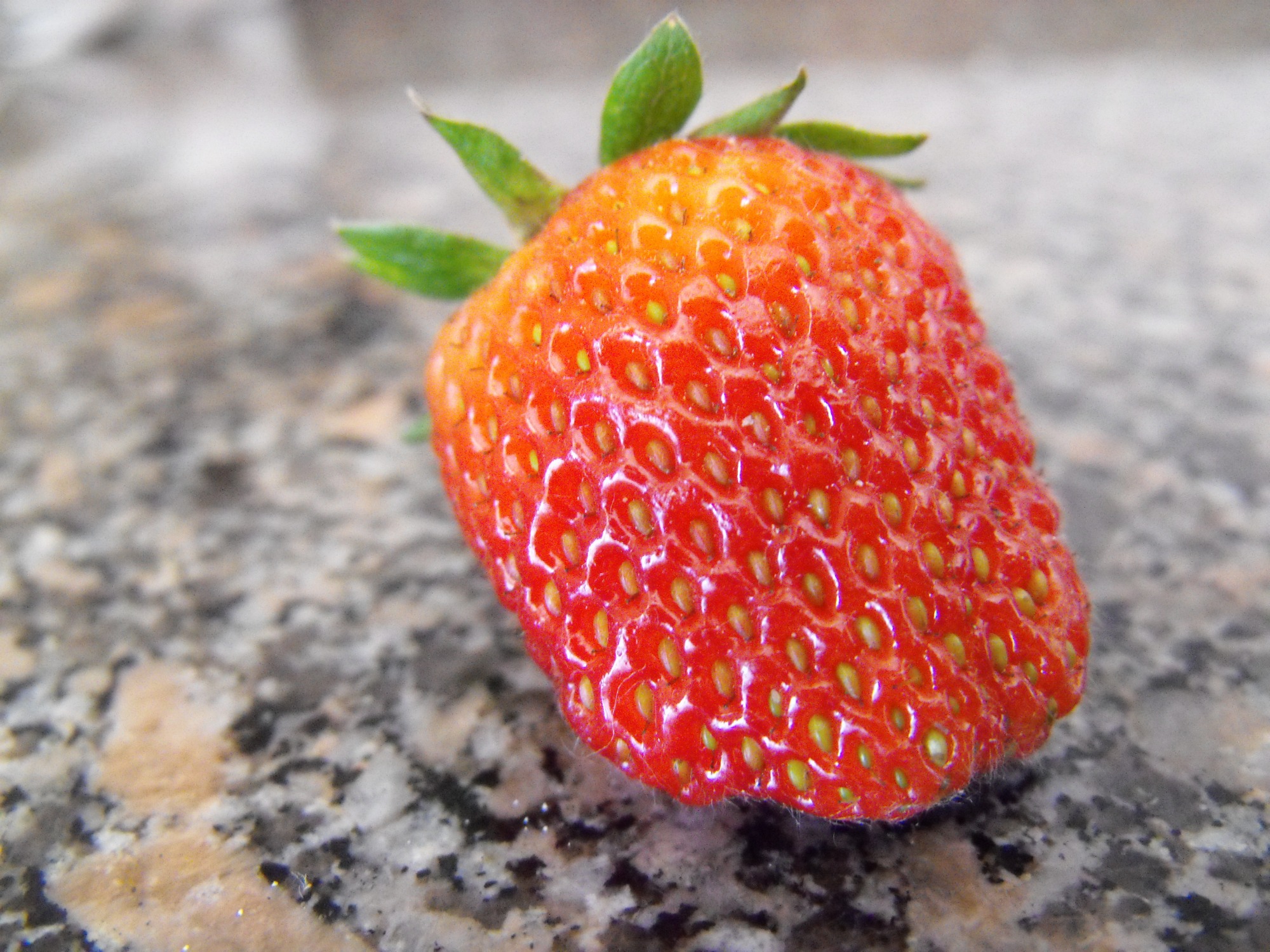 Wallpapers Nature Fruits Fraise