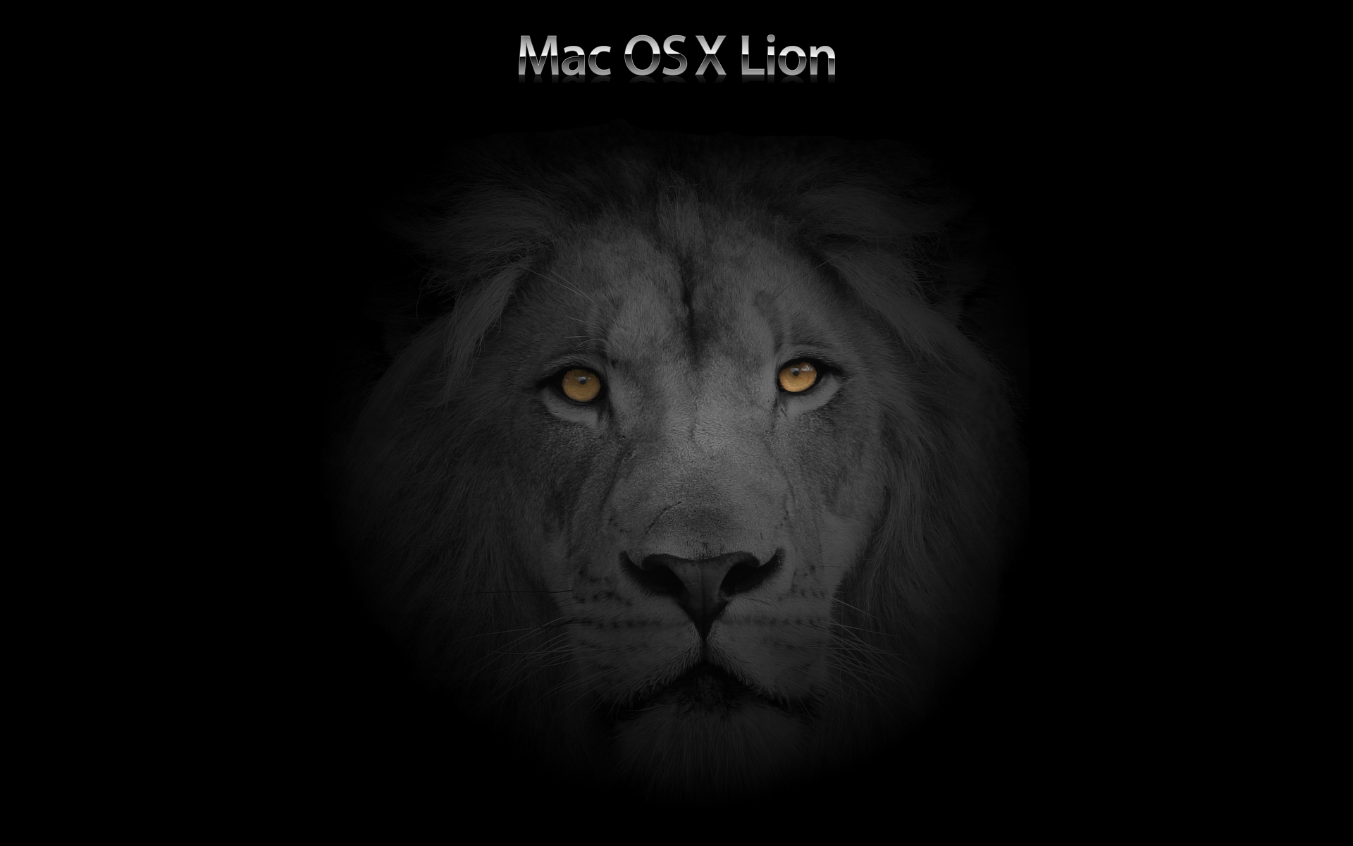 Fonds d'cran Informatique Apple Mac OS X Lion