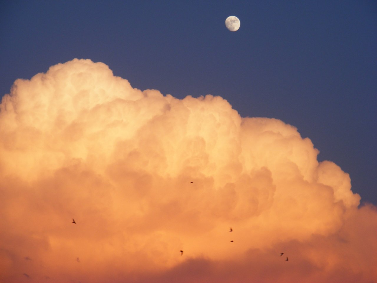 Wallpapers Trips : Europ France > Aquitaine lune et nuage