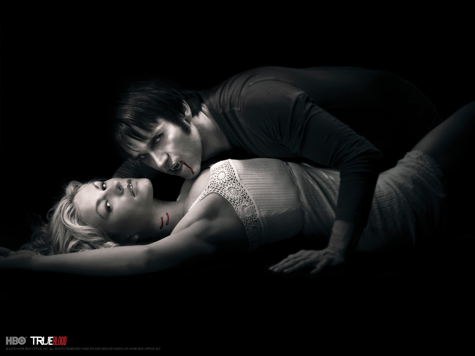 Wallpapers TV Soaps Trueblood Trueblood