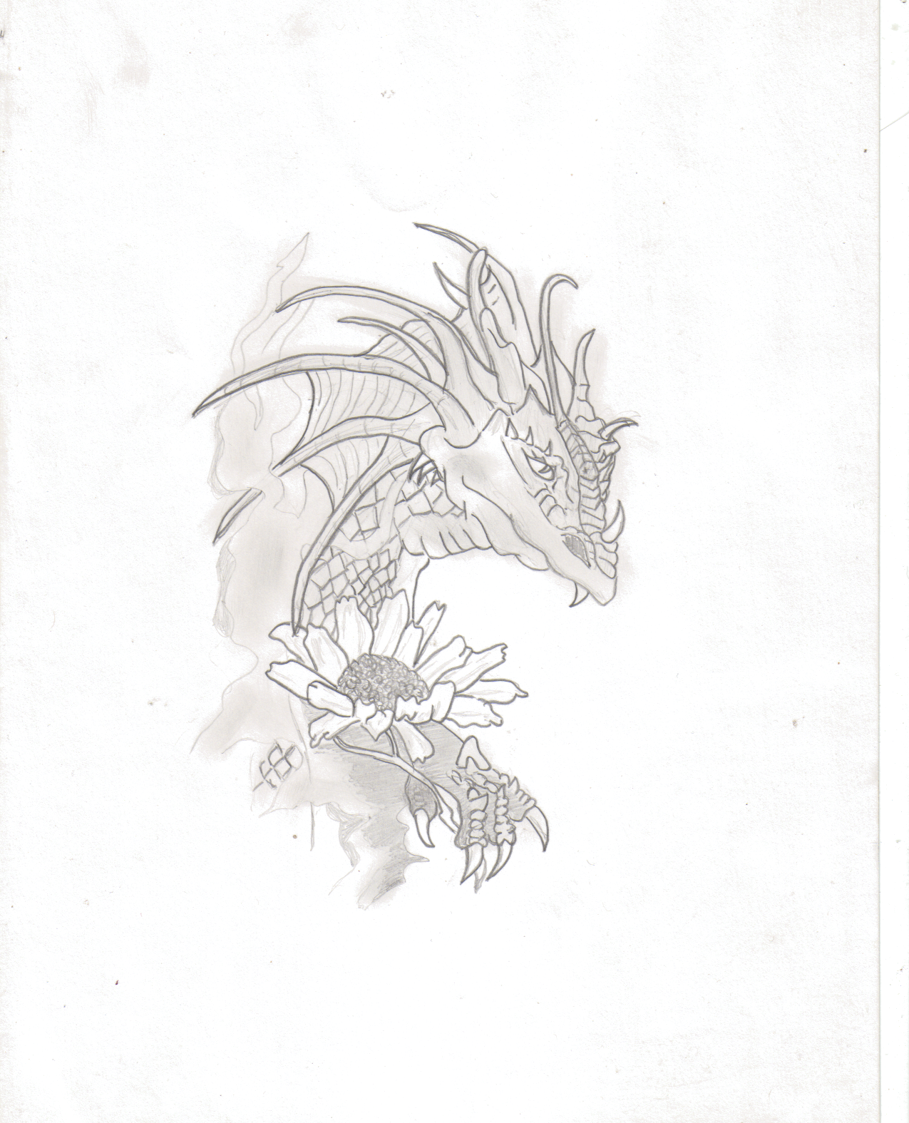 Fonds d'cran Art - Crayon Fantasy - Dragons 