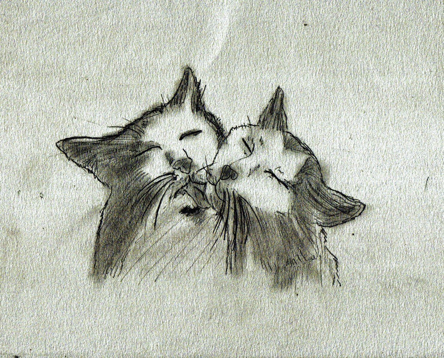 Fonds d'cran Art - Crayon Animaux - Chats 