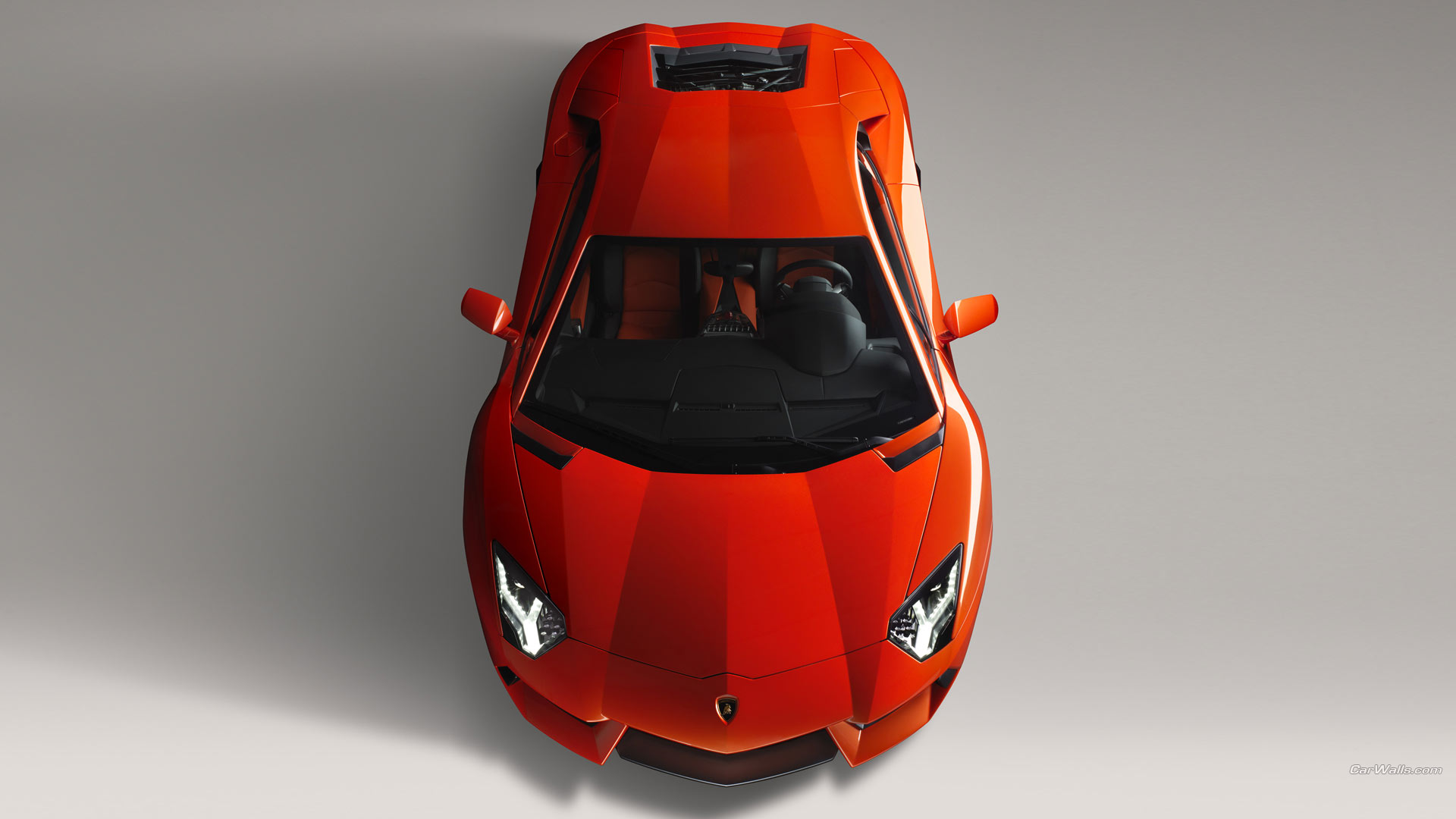 Fonds d'cran Voitures Lamborghini lambo