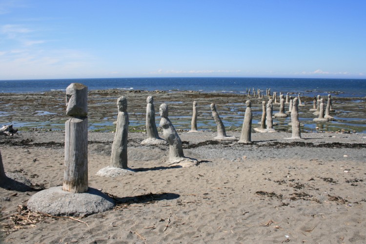 Fonds d'cran Nature Mers - Ocans - Plages Le grand rassemblement