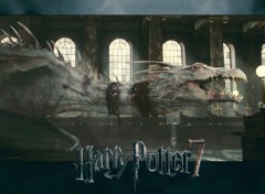 Wallpapers Movies Harry Potter et les Reliques de la Mort