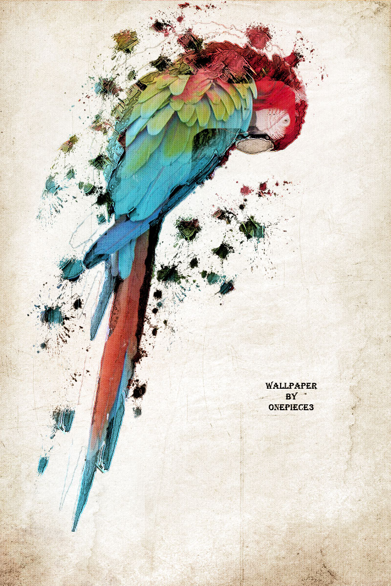 Wallpapers Digital Art Animals perroquet