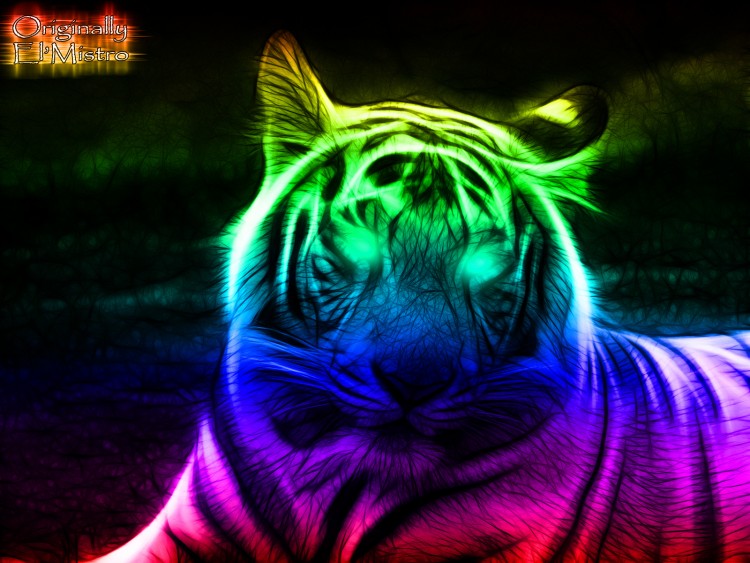 Fonds d'cran Art - Numrique Animaux White Tiger.