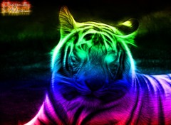 Fonds d'cran Art - Numrique White Tiger.