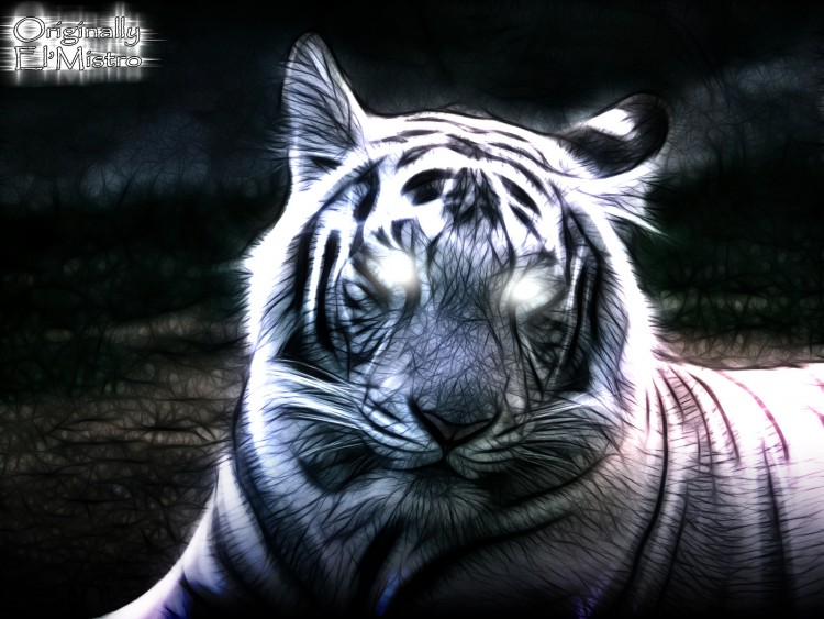 Wallpapers Digital Art Animals White Tiger (2) .