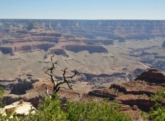 Fonds d'cran Nature grand Canyon