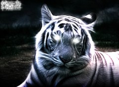 Fonds d'cran Art - Numrique White Tiger (2) .