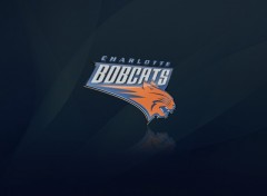 Wallpapers Sports - Leisures Bobcat