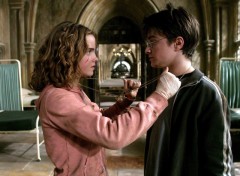 Fonds d'cran Cinma Harry Potter et la Chambre des Secrets