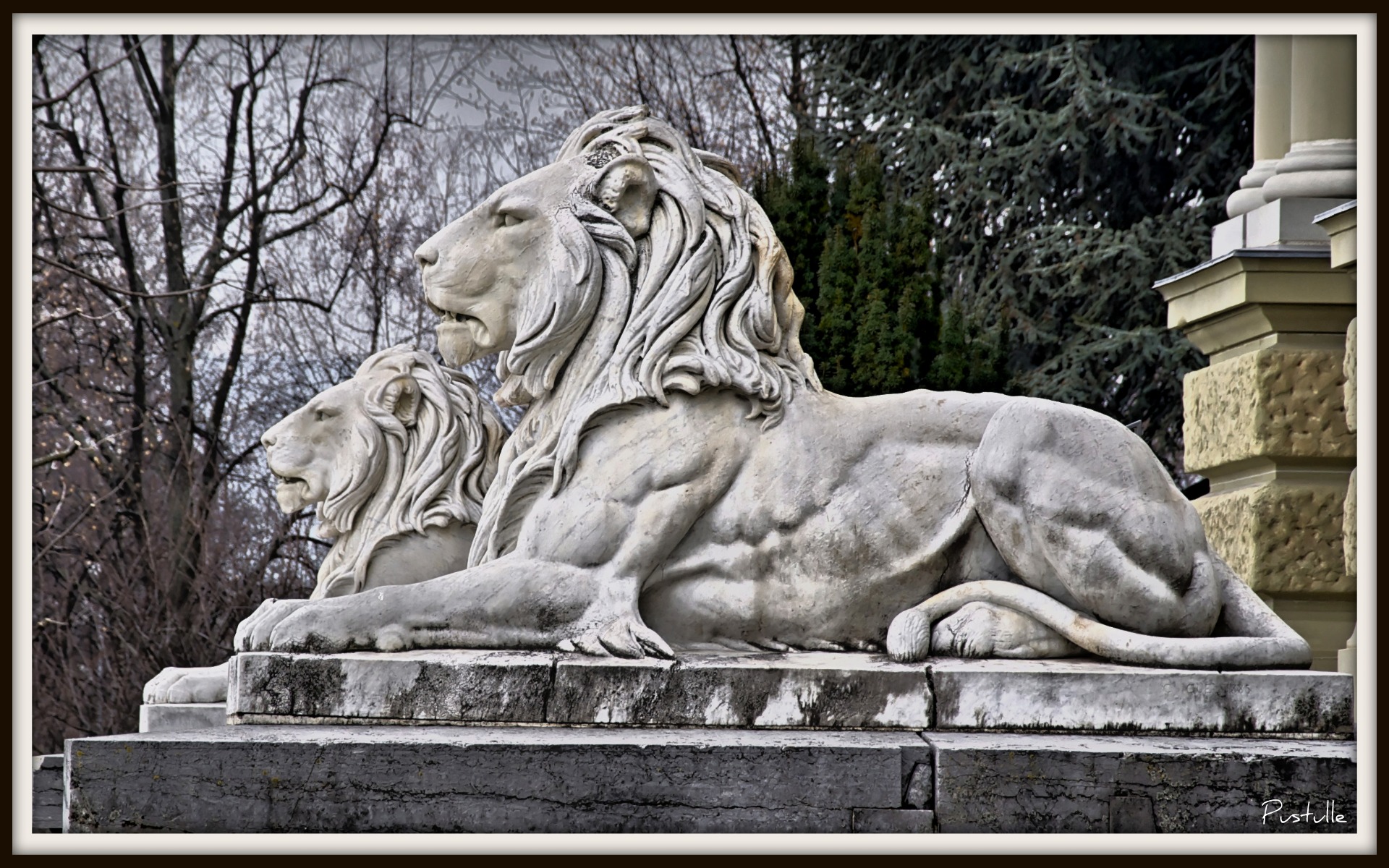 Wallpapers Constructions and architecture Statues - Monuments Lions 