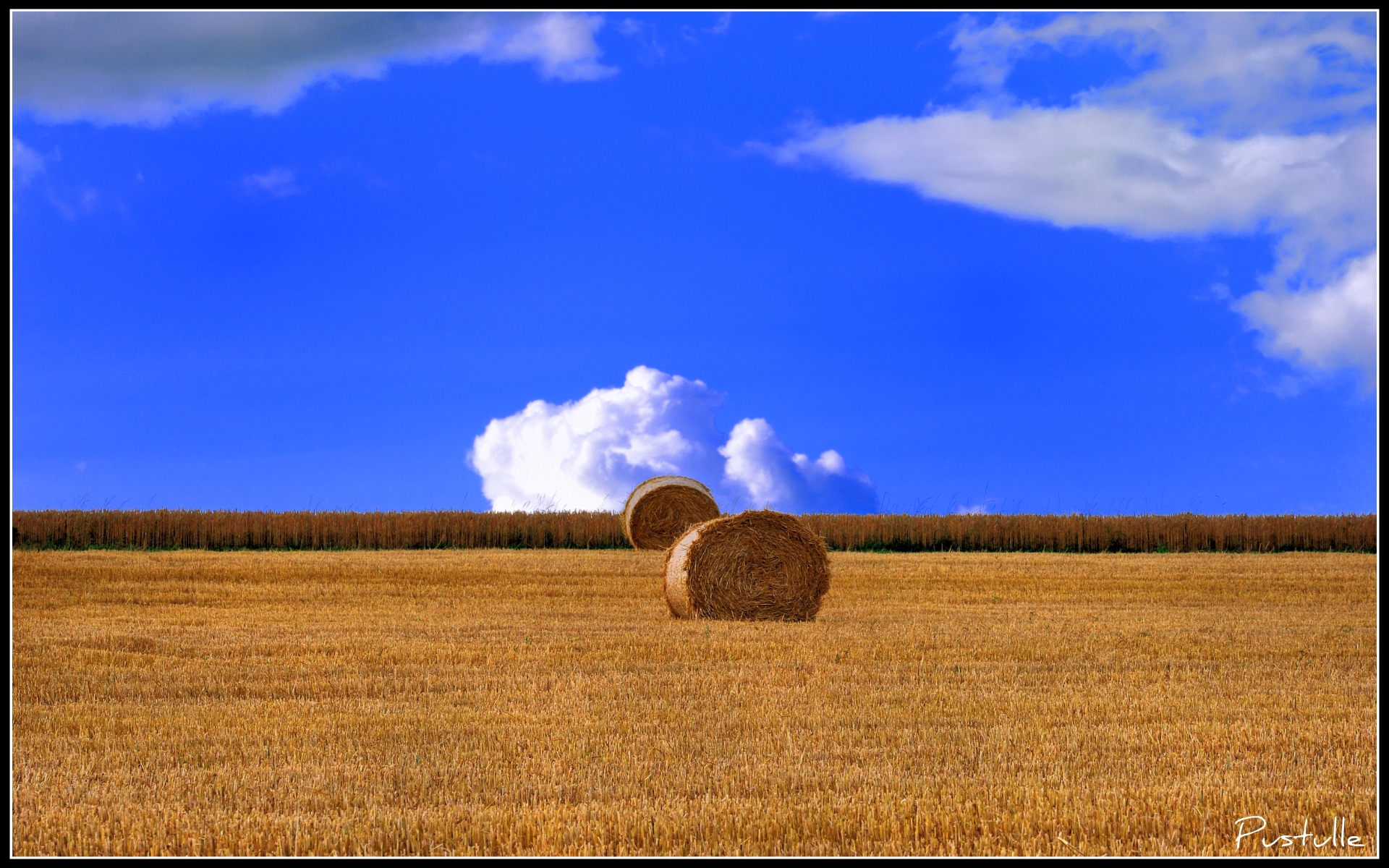 Fonds d'cran Nature Champs - Prairies Bottes de paille