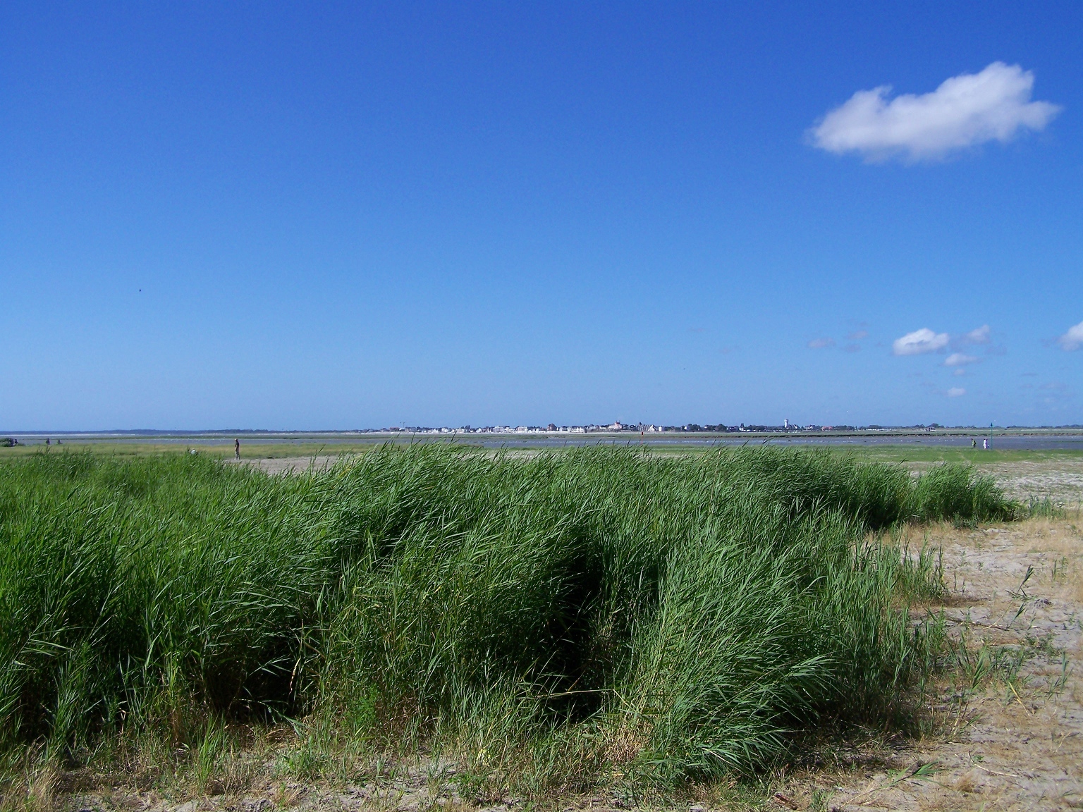 Fonds d'cran Nature Mers - Ocans - Plages Plage