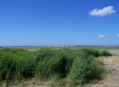 Fonds d'cran Nature Plage