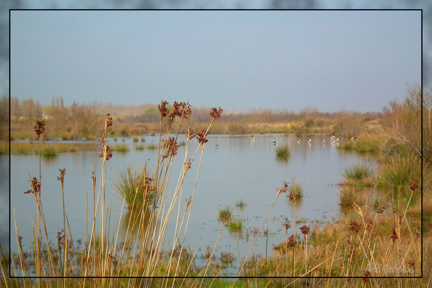 Wallpapers Nature Lakes - Ponds 