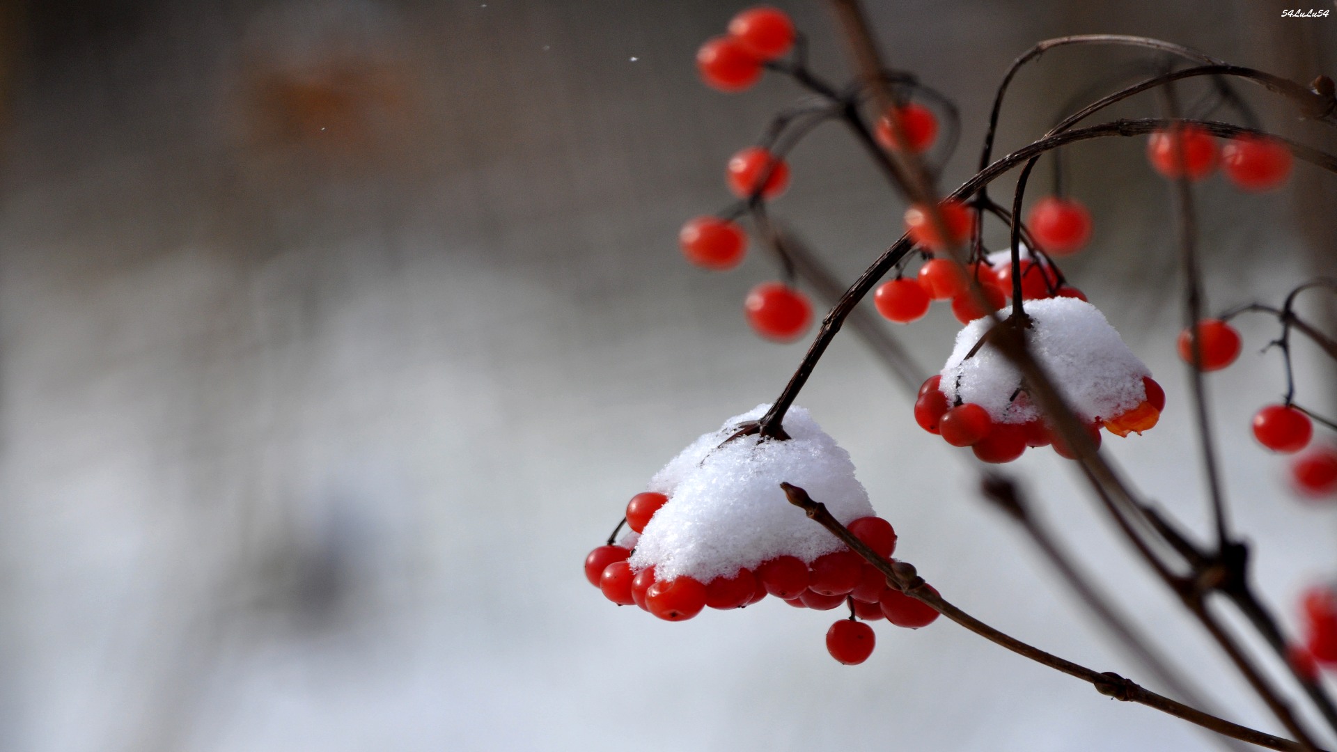 Fonds d'cran Nature Saisons - Hiver 