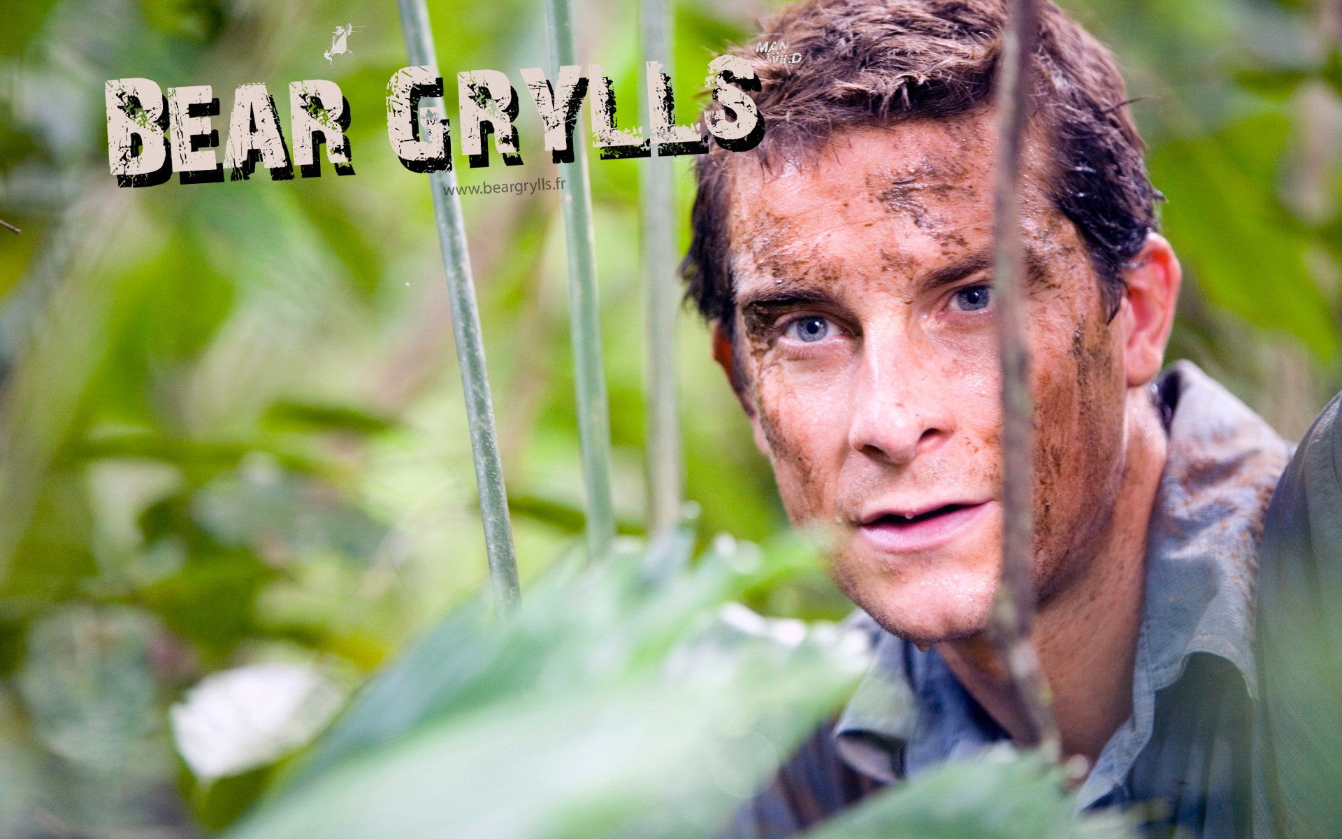 Fonds d'cran Clbrits Homme Bear Grylls Bear Grylls