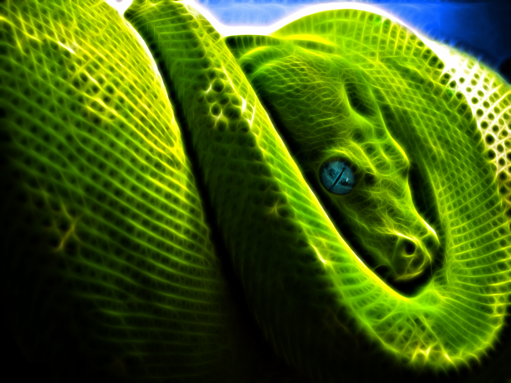 Fonds d'cran Animaux Serpents Terreur verte