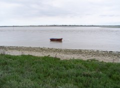 Fonds d'cran Nature Baie de Somme