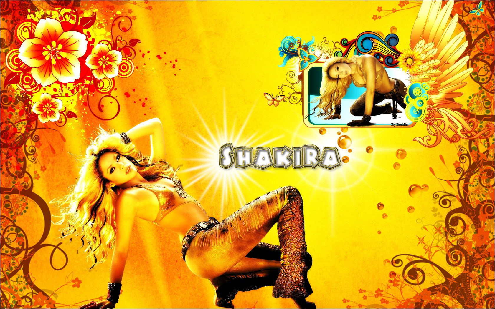 Wallpapers Music Shakira 