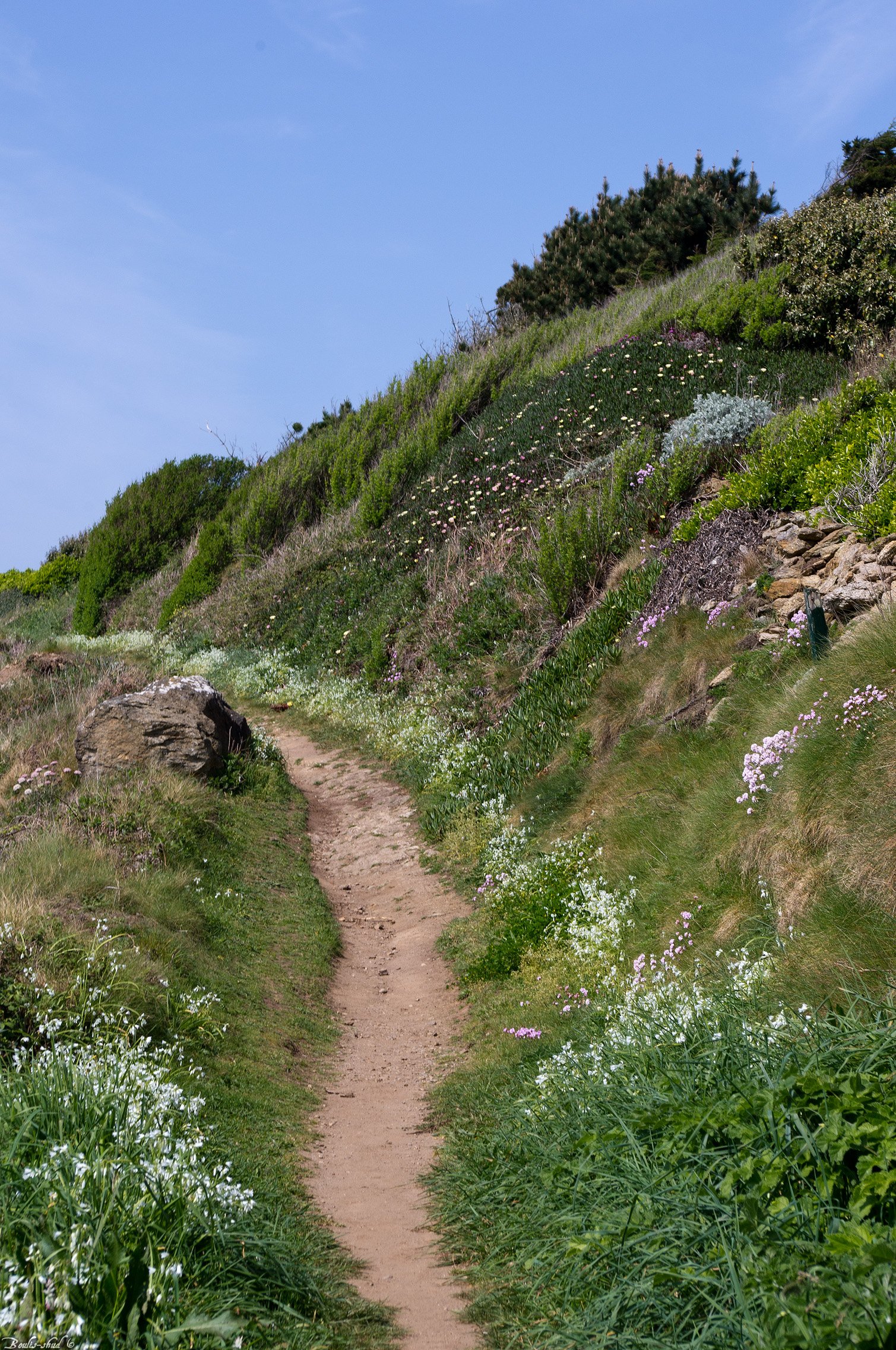 Wallpapers Nature Paths Sentier fleuris