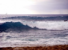 Fonds d'cran Nature mer