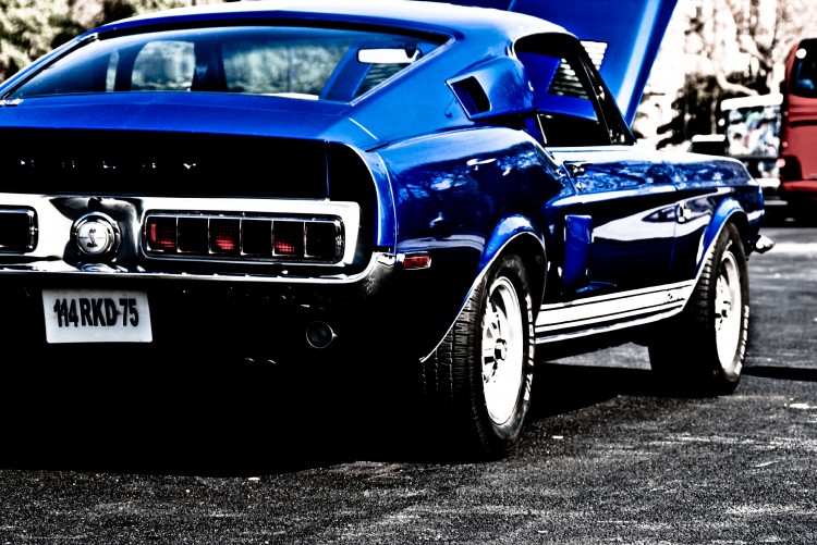 Wallpapers Cars Ford Wallpaper N278585