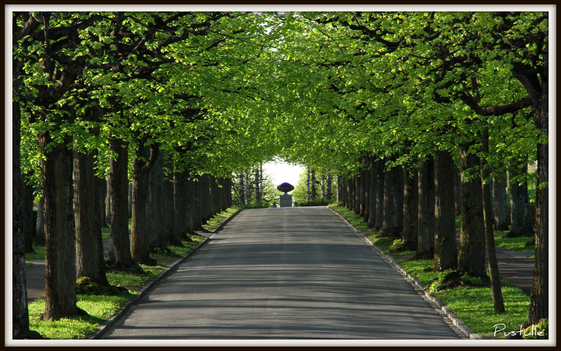 Fonds d'cran Nature Parcs - Jardins 