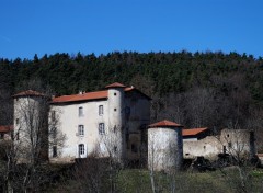 Fonds d'cran Constructions et architecture chateau du Poyet ,Loire 42