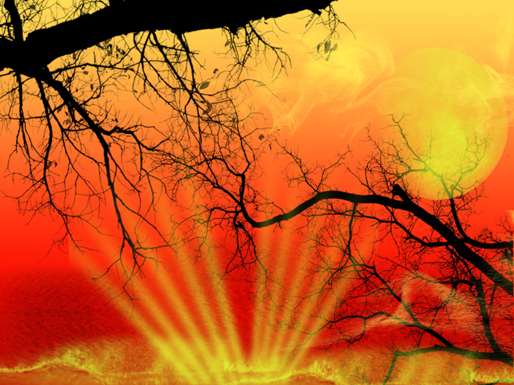 Wallpapers Digital Art Nature - Trees, plants volcano 