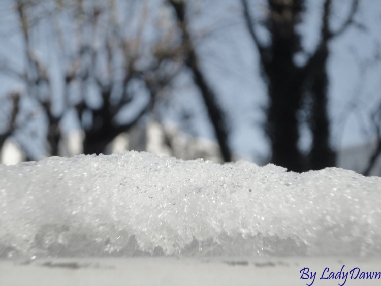 Fonds d'cran Nature Saisons - Hiver La neige vu autrement