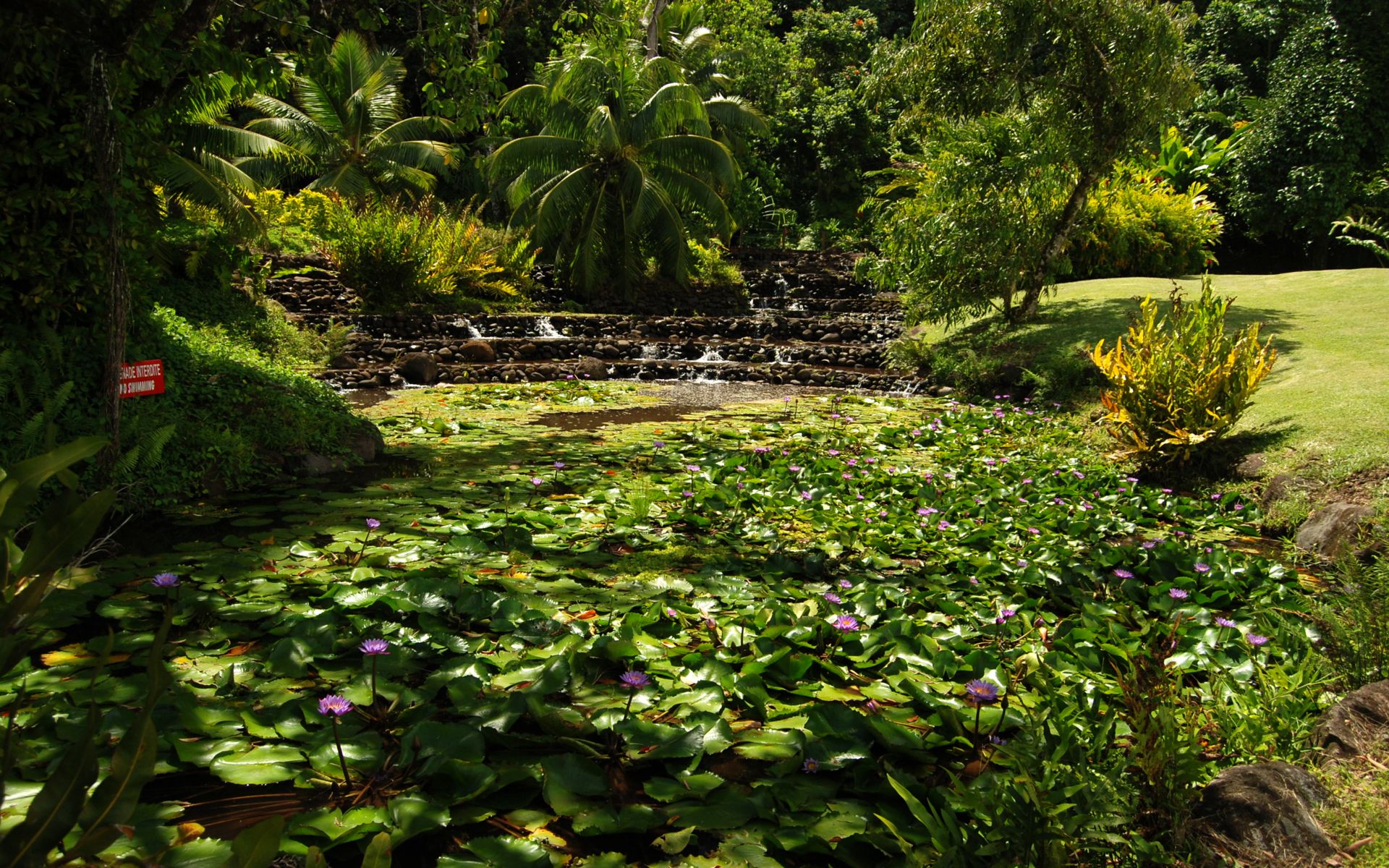 Fonds d'cran Nature Parcs - Jardins Jardin d'eau