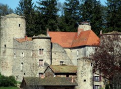 Wallpapers Constructions and architecture Chateau de la Merle ,Loire 42