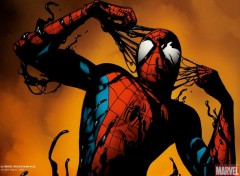 Fonds d'cran Comics et BDs spider man