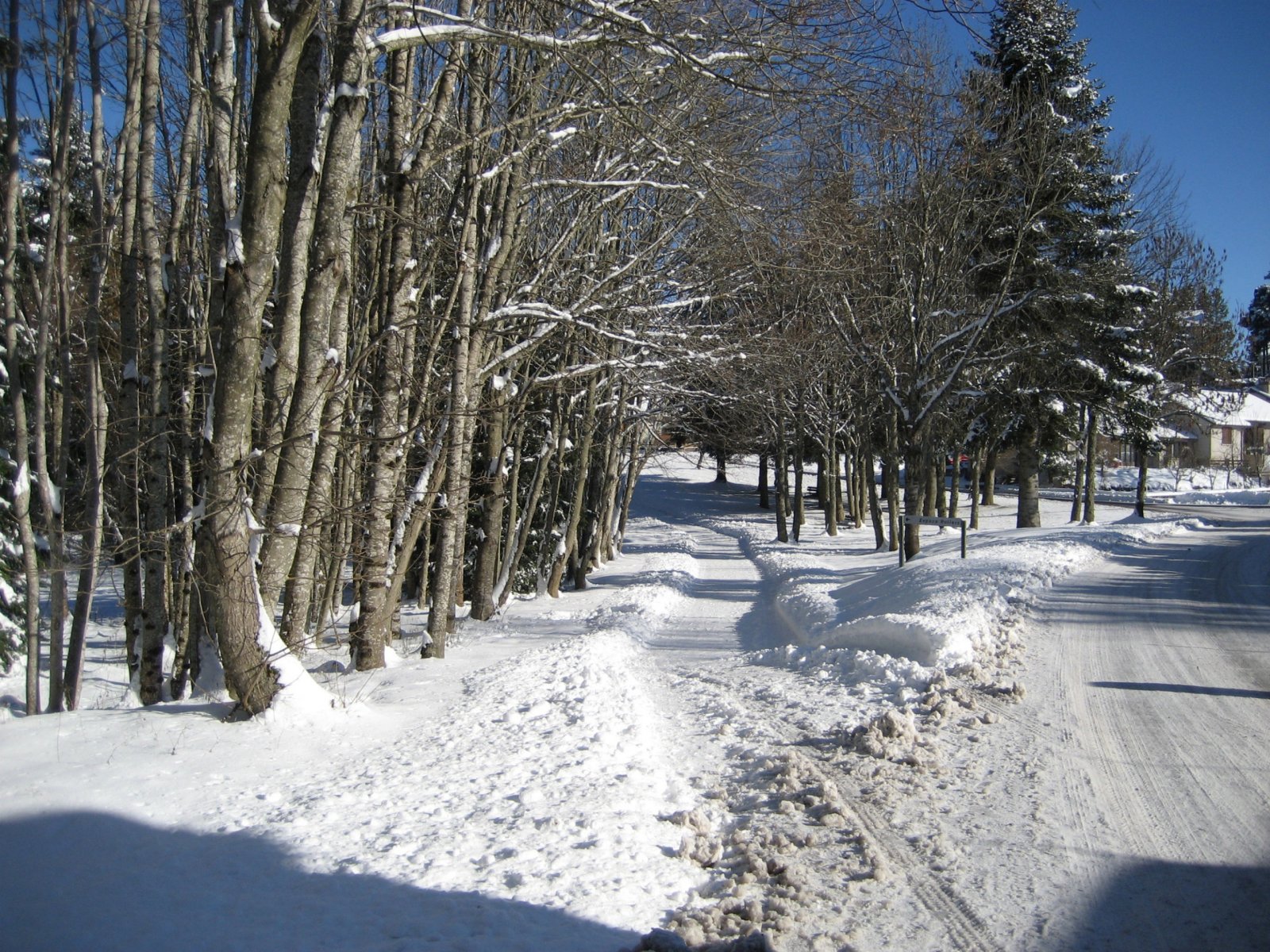 Fonds d'cran Nature Saisons - Hiver 