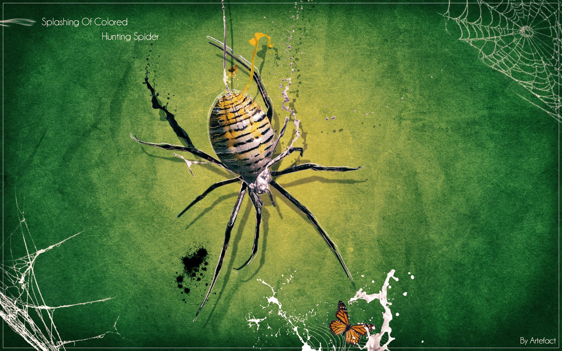 Wallpapers Digital Art Animals Hunting Spider