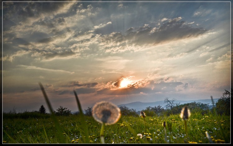 Fonds d'cran Nature Champs - Prairies nature